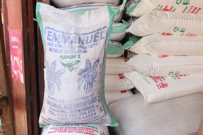 Ifu y' ubududu(imyumbati)